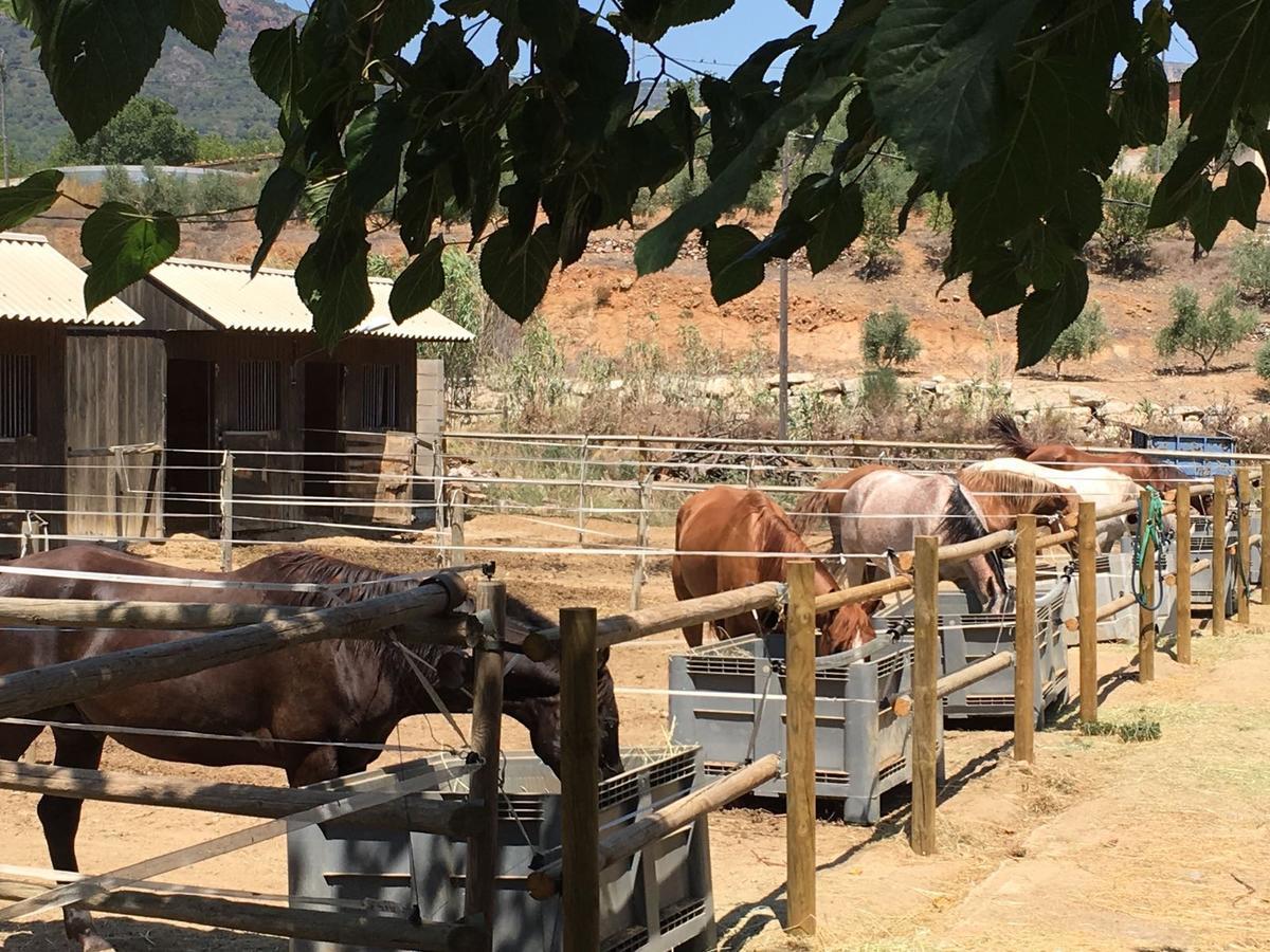 Mas Perdiueta Konuk evi Alforja Dış mekan fotoğraf